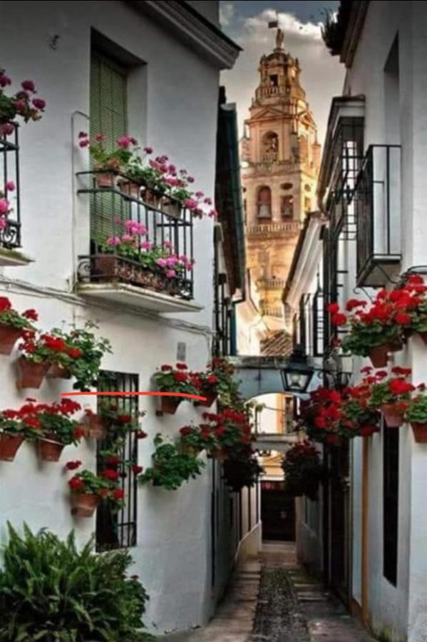 Apartamento La Magdalena Cordoba Exterior photo